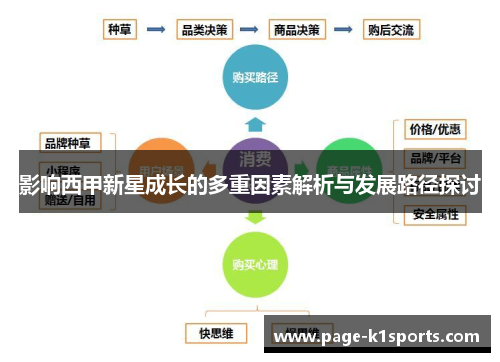 影响西甲新星成长的多重因素解析与发展路径探讨