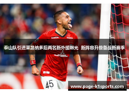 泰山队引进莱昂纳多后两名新外援曝光  新阵容升级备战新赛季