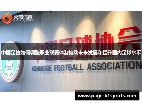 中国足协如何调整职业联赛体制推动未来发展和提升国内足球水平