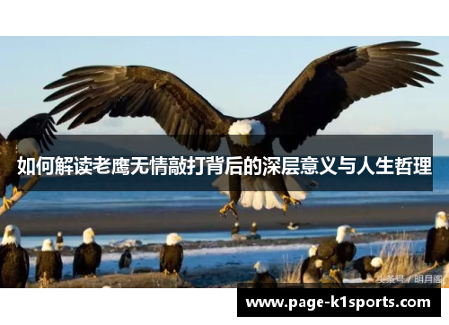 如何解读老鹰无情敲打背后的深层意义与人生哲理