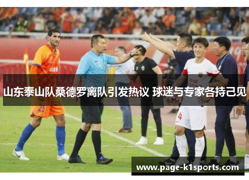 山东泰山队桑德罗离队引发热议 球迷与专家各持己见