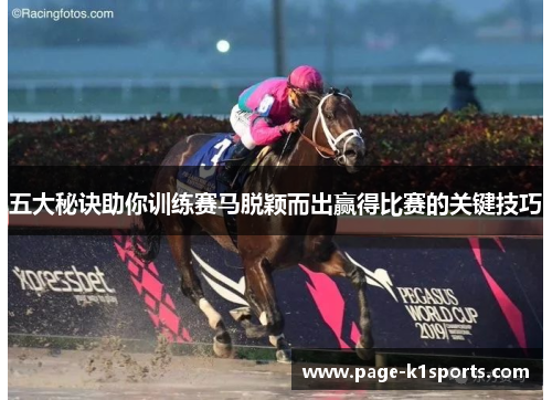 五大秘诀助你训练赛马脱颖而出赢得比赛的关键技巧