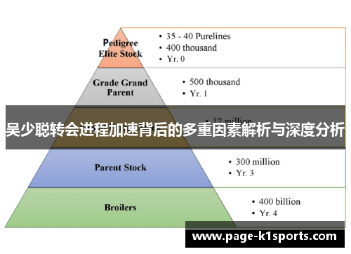 吴少聪转会进程加速背后的多重因素解析与深度分析