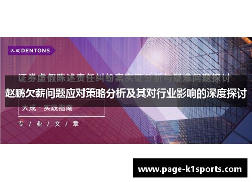 赵鹏欠薪问题应对策略分析及其对行业影响的深度探讨